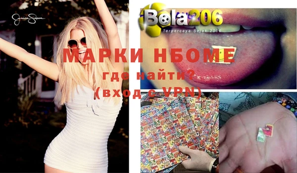 PSILOCYBIN Гусиноозёрск