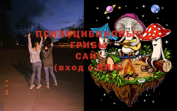 PSILOCYBIN Гусиноозёрск