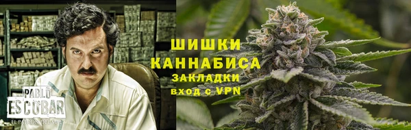 PSILOCYBIN Гусиноозёрск
